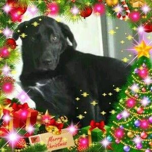 Meet your Posher, Bertha